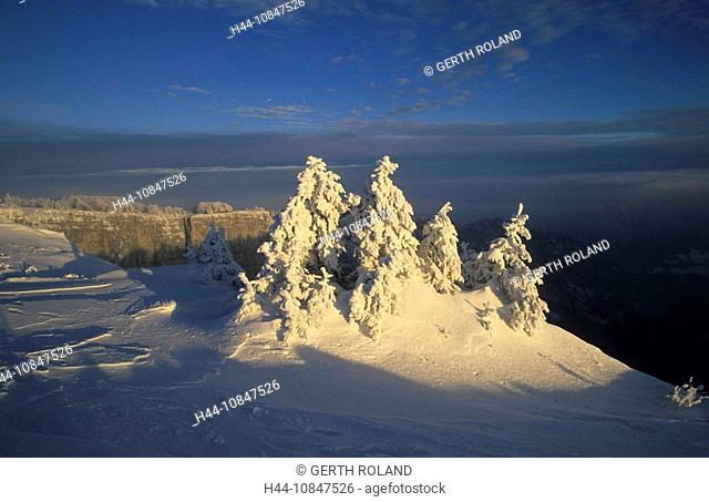 Switzerland, Europe, Creux-du-Van, Canton Neuchatel, Jura mountains, cliff, abyss, winter, hoarfrost, cold, snow, morn