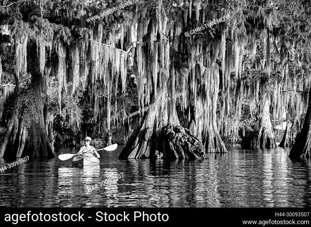 USA, Louisiana, Jefferson Parish, St.Martinville, Lake Fausse, woman in kayak in old growth forest MR