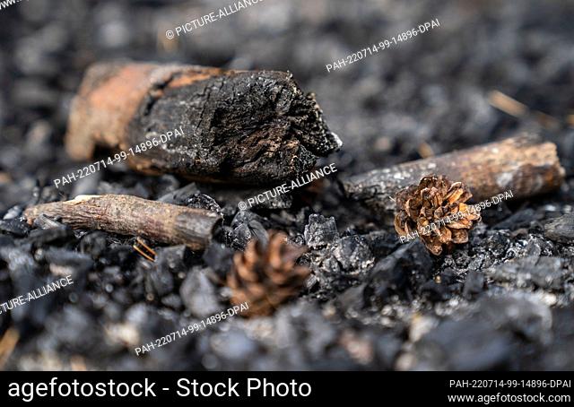 13 July 2022, Bavaria, Vierzehnheiligen: Charred wood lies on a fireplace in a forest. Because in many places, such as Franconia
