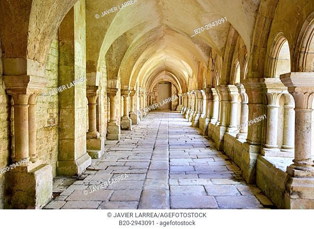 Cloister, Abbaye Royale de Notre Dame de Fontenay, Fontenay Cistercian Abbey, Montbard, Côte d'Or, Burgundy Region, Bourgogne, France, Europe