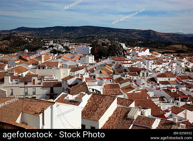 Municipality of Olvera in the province of Cadiz, located on the Ruta de los Pueblos Blancos, Road of the White Villages, view over the village, Andalusia, Spain