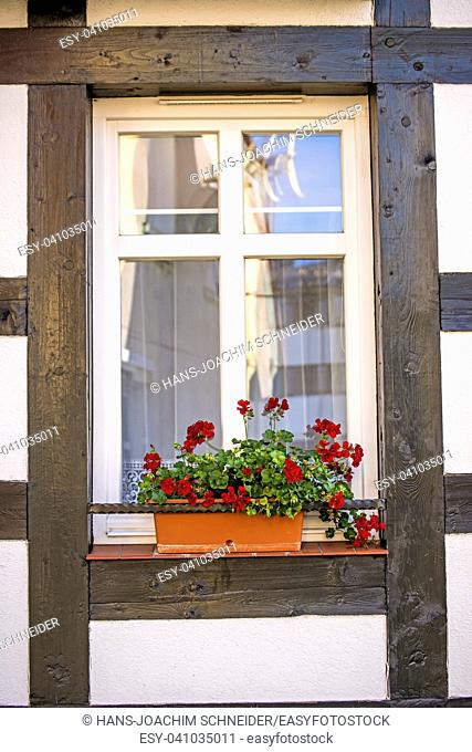 Window with pretty flowers at a frame house