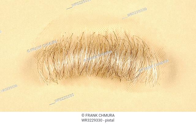 Artificial Mustache for Film and Theater Production