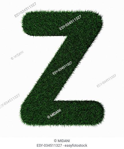 Letter Z made with blades of grass