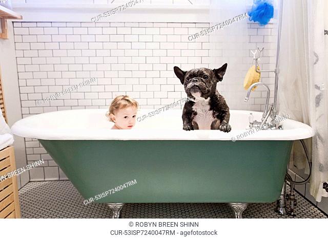 Girl sitting with bulldog in bathtub