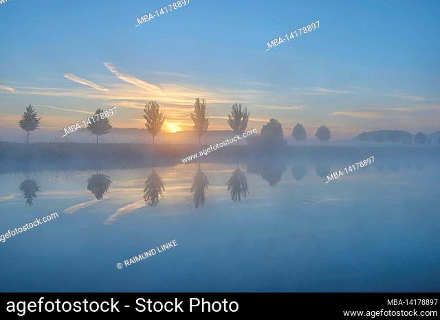 Lake, row of trees, reflection, sunrise, spring, Drei Gleichen, district Gotha, Thuringia, Germany