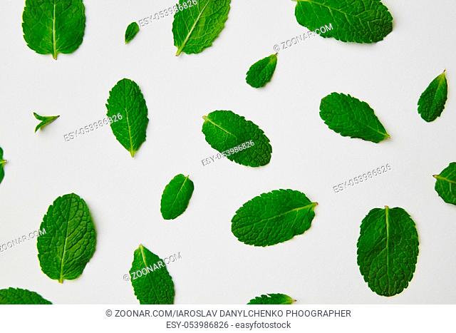 Green mint leaves freely located on white background. Top view