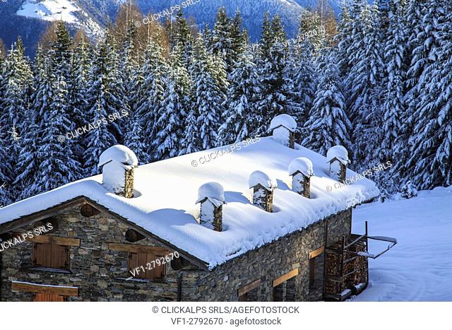 Snow covered hut and woods Tagliate Di Sopra Gerola Valley Valtellina Lombardy Italy Europe