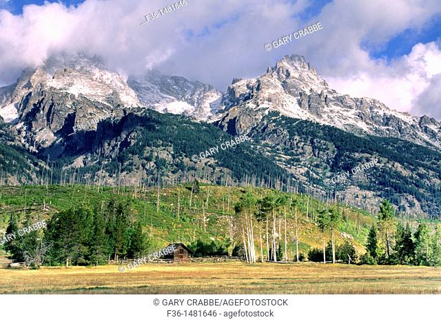 Wood barn and aspen trees under the Teton Range, dusted by first fall snow, Grand Teton Nat'l  Pk , WYOMING
