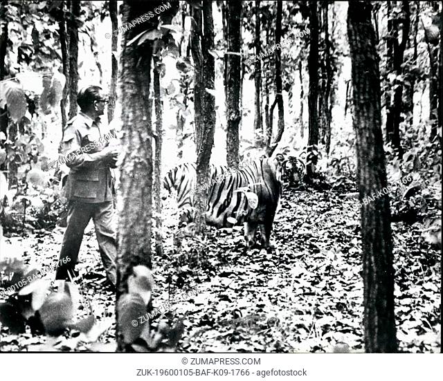 1968 - Hold That Tiger!: If you're worried about burglars, how about this for a watch dog with a difference? In a small village in India this striped beauty has...