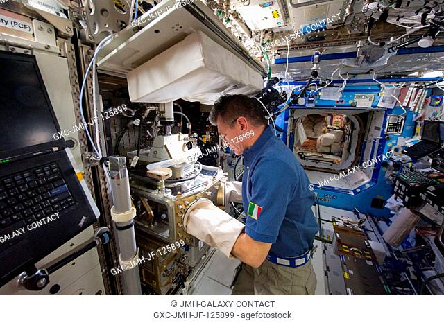 European Space Agency astronaut Paolo Nespoli, Expedition 26 flight engineer, works with the Light Microscopy Module (LMM) in the Destiny laboratory of the...