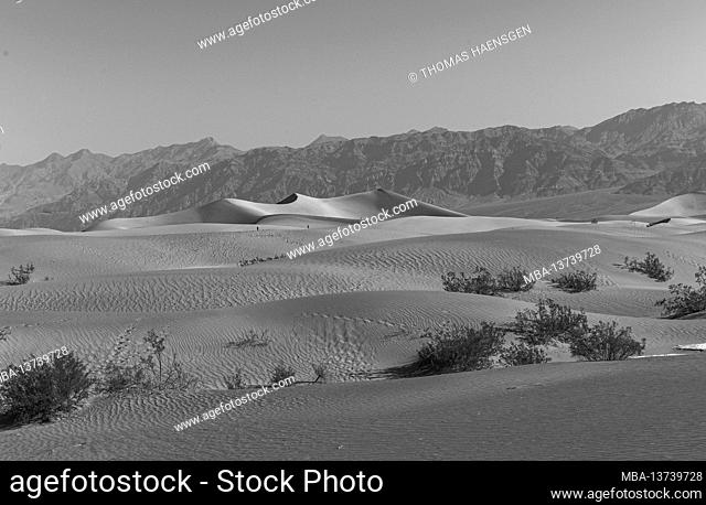Daytime at Mesquite Flat Sand Dunes in Death Valley National Park, California, USA
