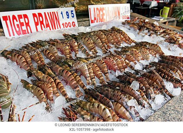 Tiger prawns on display in a seafood restaurant  Patong  Phuket, Thailand