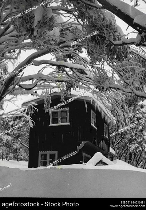 Mt. Buller, Victoria: Gaily Painted lodges splash color on white show. Many, like Ulla Lodge, about are hidden by drooping snow gums