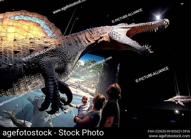 PRODUCTION - 22 June 2022, Lower Saxony, Wilhelmshaven: A family looks at a life-size model of a spinosaurus in the new adventure exhibition ""Saurians - Giants...