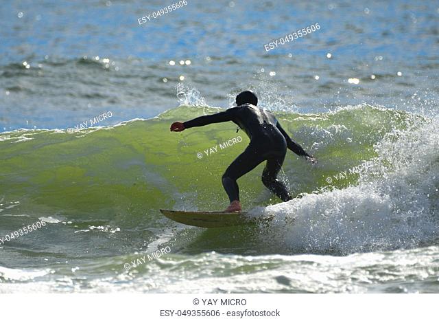 Surfers enjoying good waves at La Push, Washington's First Beach