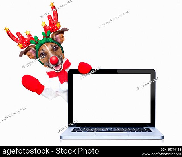 christmas dog with reindeer costume behind a laptop computer pc, isolated on white background