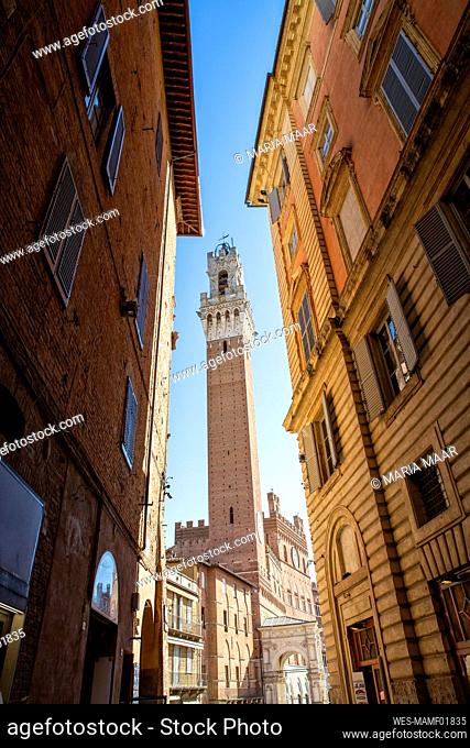 Italy, Tuscany, Siena, View of Torre del Mangia standing between two townhouses