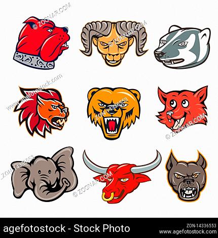 Set or collection of cartoon character mascot style illustration of head of animal wildlife like bulldog, ram, badger, lion, bear, fox, elephant
