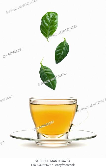 tea leaves falling into tea cup, on white background