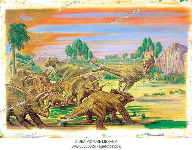 Palaeozoology - Upper Cretaceous period - Dinosaurs - Triceratops - Art work