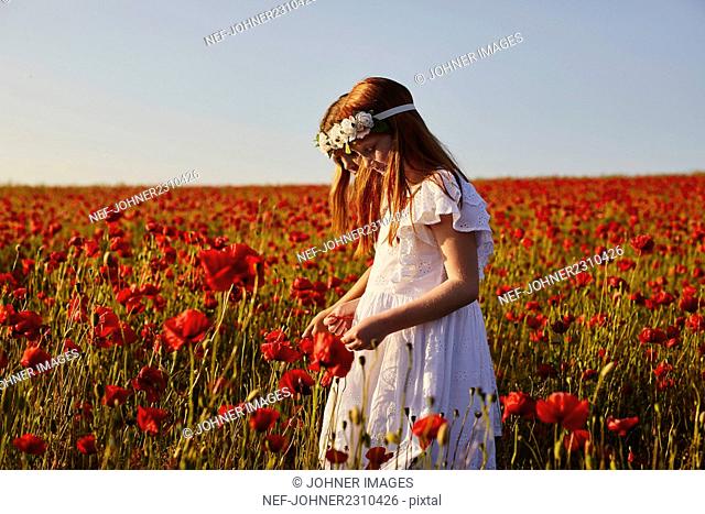 Girls standing in poppy meadow