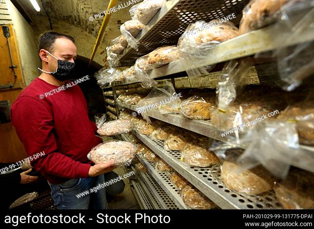 29 October 2020, Saxony-Anhalt, Halberstadt: Mathias Hlady, baker at the Halberstadt bakers and confectioners, sorts fresh stollen into the cathedral's reminder...