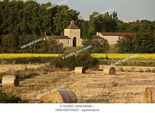 France, Gers, near Valence sur Baise, closes the Magdalen of the abbey of Flaran and sunflower field
