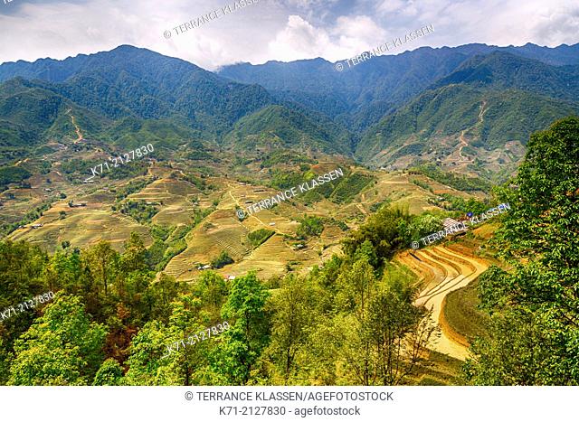 Terraced fields on the hillside and Lao Chai Village near Sapa, Vietnam, Asia