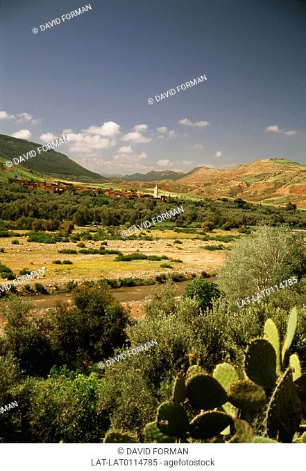 High Atlas region. Mountain landscape. View across plains. Fertile valley. River. Irrigation. Oasis. Succulent plants