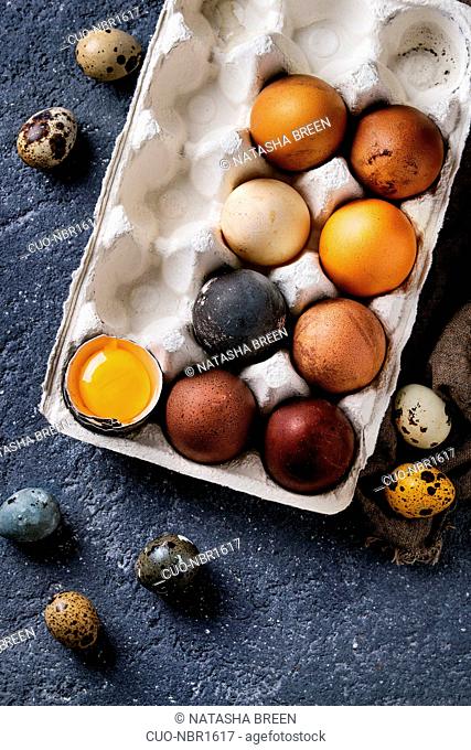 Brown and gray colored chicken and quail Easter eggs in paper box with yolk over black concrete texture background. Top view, copy space
