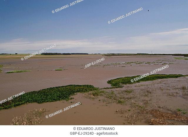 Flooded sandbank, Flood, Pântano Grande, Rio Grande do Sul, Brazil