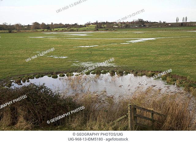 Former river meanders appear in meadow after high rainfall, Shingle Street, Suffolk, England