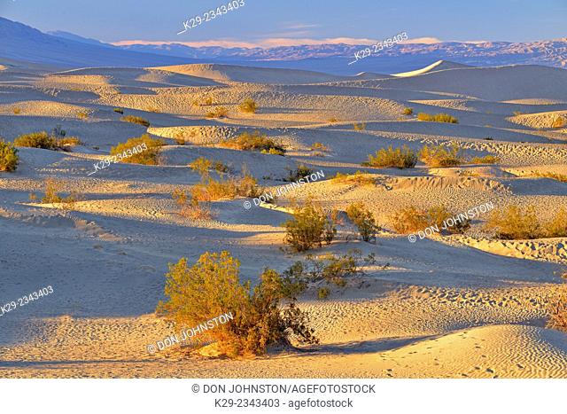 Mesquite Sand Dunes, Death Valley National Park, California, USA