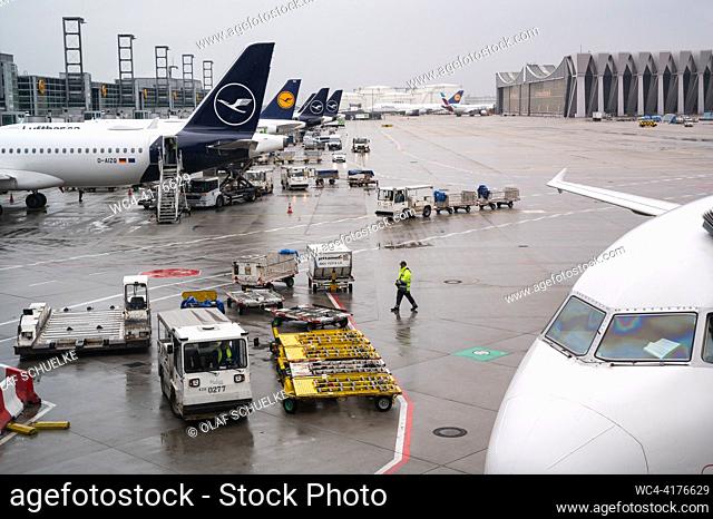Frankfurt, Hessen, Germany, Europe - Lufthansa passenger planes are parked at their gate of Frankfurt Airport Terminal 1