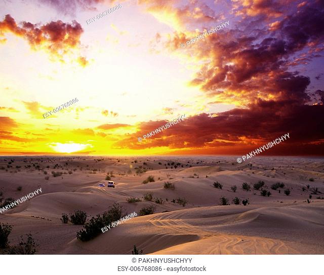 Desert landscape with sanset sky