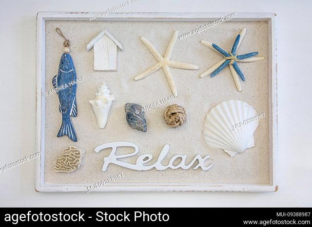 maritime still life with natural and decoration objects in a wooden box with sand