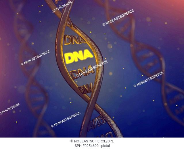 DNA molecule, conceptual illustration