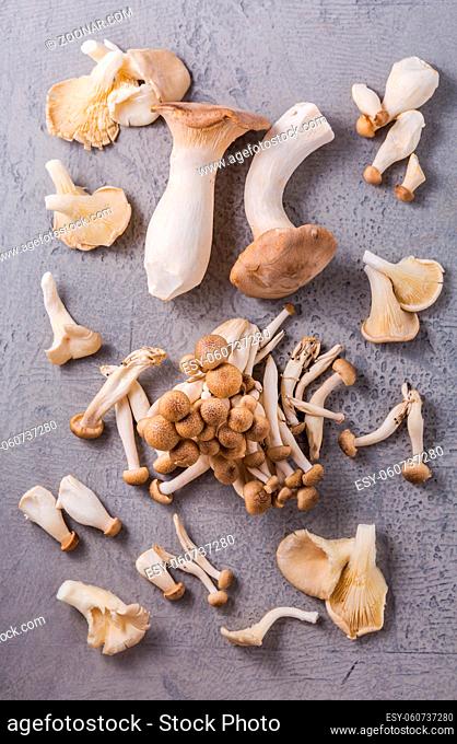 Assortment of edible mushrooms rich in umami tasting on grey background - beech shimeji, oyster mushroom and king oyster mushroom
