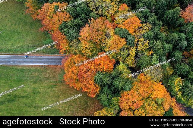 05 November 2023, Bavaria, Stötten: Walkers on a road in front of a mixed forest in autumn colors (aerial view with a drone)