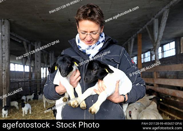 27 November 2020, Mecklenburg-Western Pomerania, Qualitz: Susanne Petersen, chairwoman of the Mecklenburg-Vorpommern State Sheep and Goat Breeders' Association
