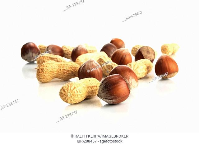 Hazel nuts and peanuts