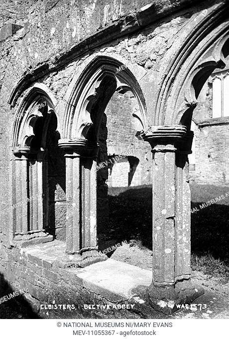 Cloisters, Bective Abbey - a view of the arched cloisters. (Location: Republic of Ireland: County Meath)