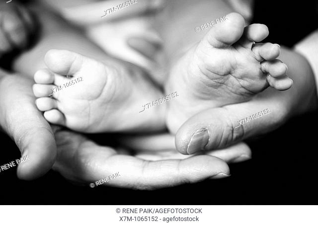 Baby feet and parents' hands