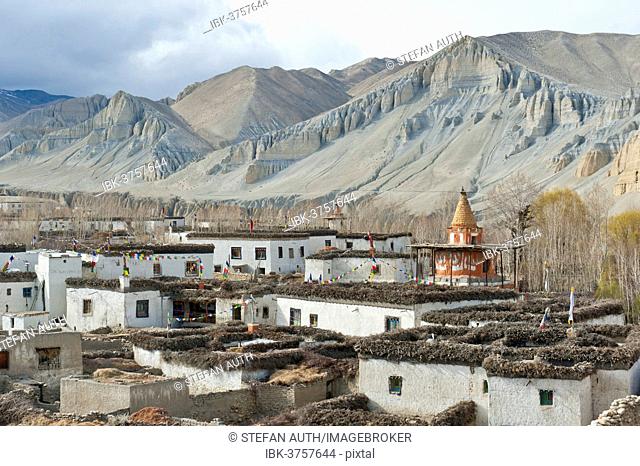 Tibetan architecture, houses with flat roofs, erosion in the mountains, typical stupa in the village Charang, Upper Mustang, Nepal, Asia