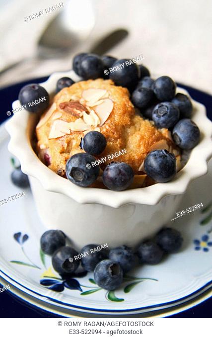 Fresh blueberry muffin