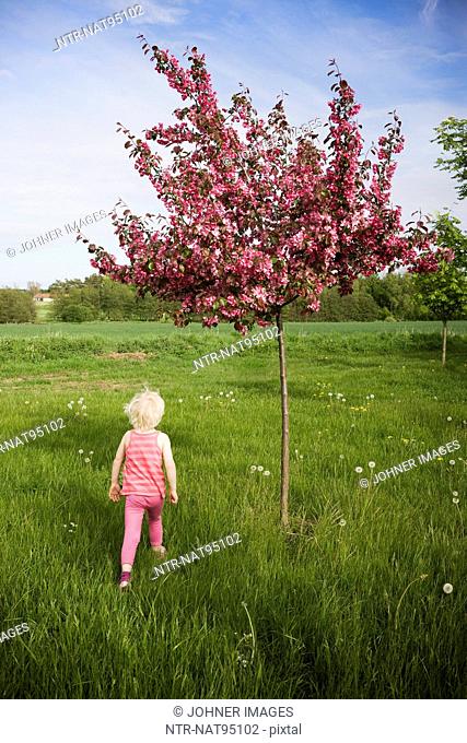 Girl running near flowering apple tree