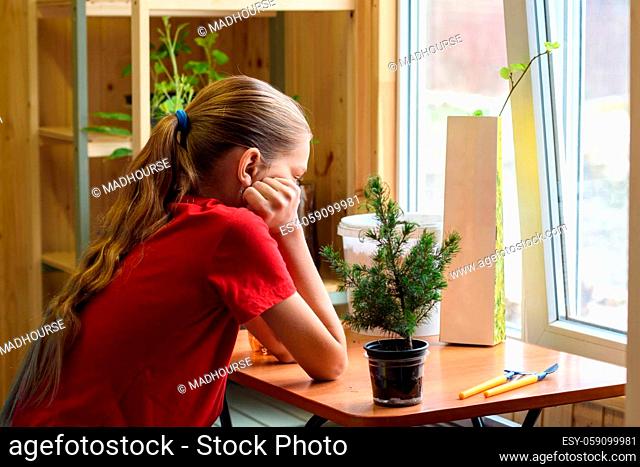 A girl sits by the window at a table on which there are garden plants and is waiting for spring