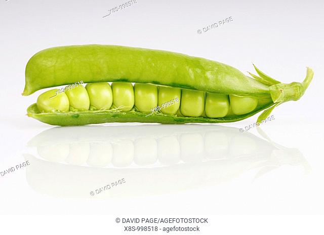 Stock photo of fresh green peas in their pods shot against a white background