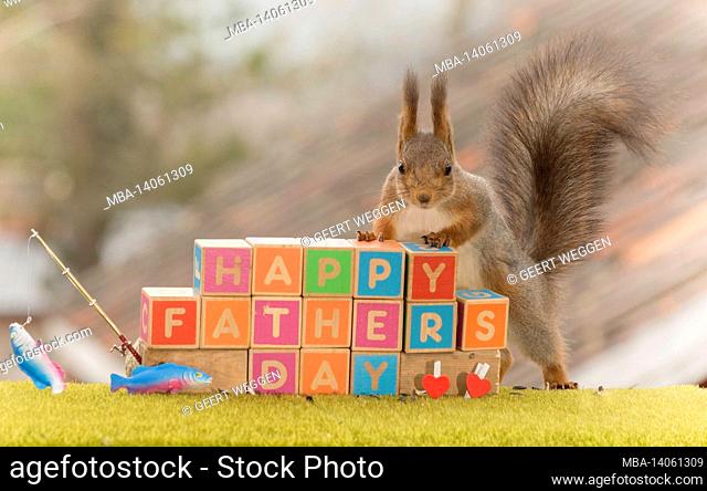 red squirrel standing with wooden blocks with the words happy fathers day